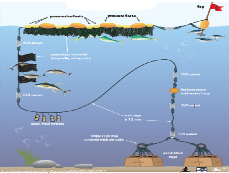 FAD Management Plan